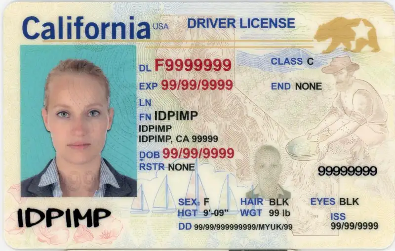 California - Image 2